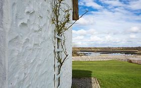 Dunguaire Thatched Cottages